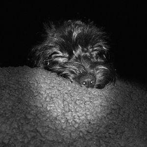 Meet your Posher, Bobbi